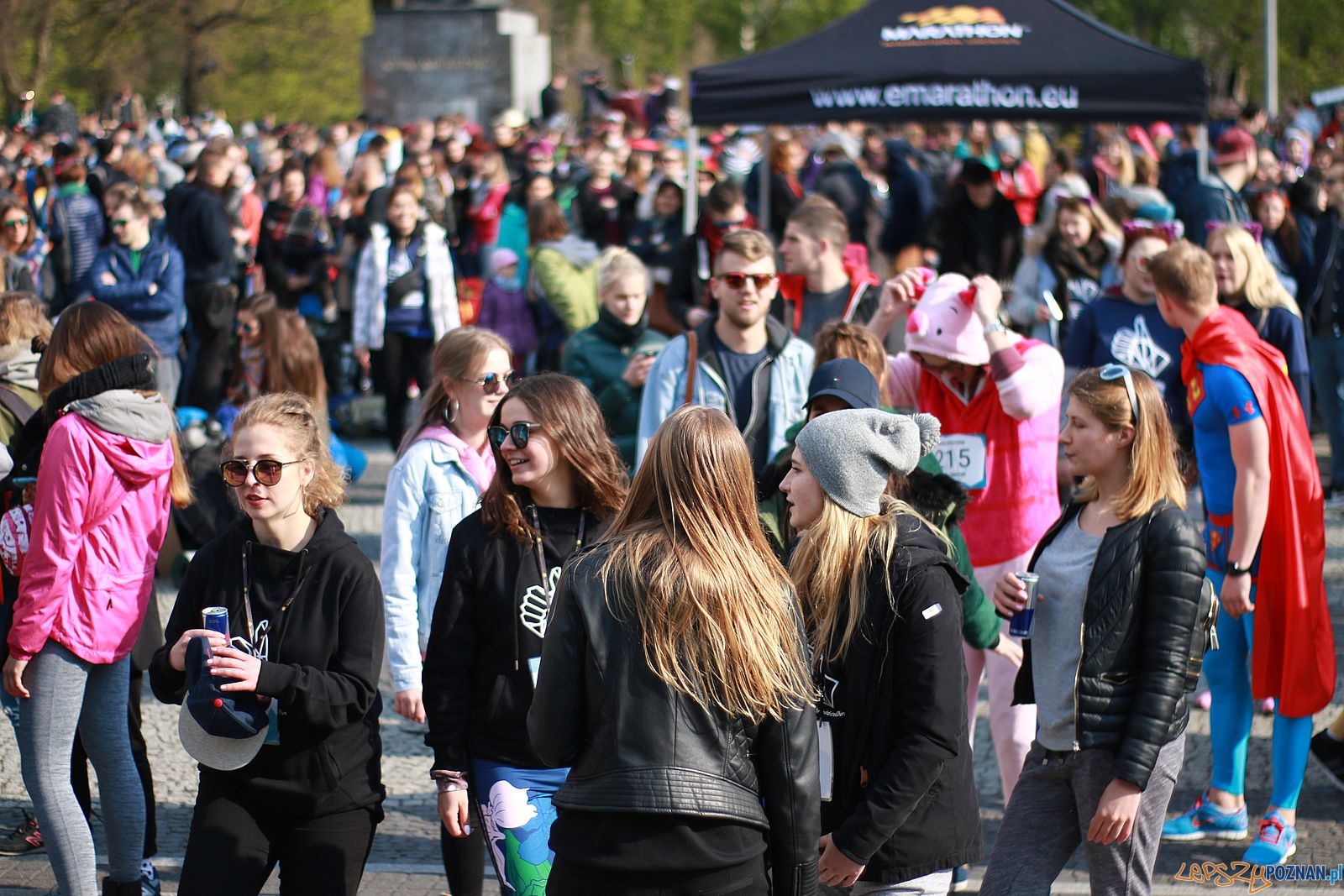 Studencki autostop Foto: addicted2fun Studencki autostop Foto: addicted2fun