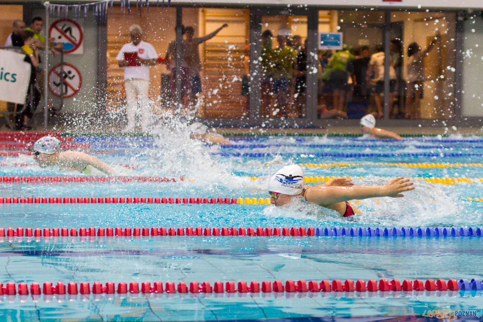 International Swimming Cup POZnań 2017 Foto: Ewelina Jaśkowiak International Swimming Cup POZnań 2017 Foto: Ewelina Jaśkowiak