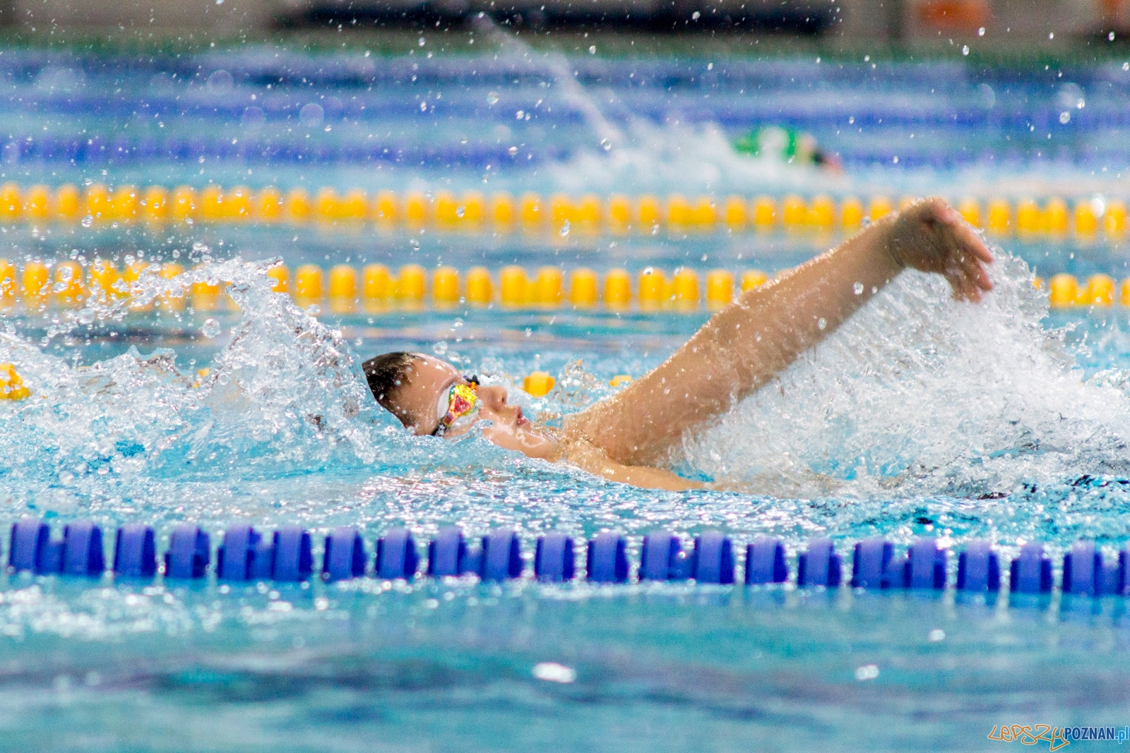 International Swimming Cup POZnań 2017 Foto: lepszyPOZNAN.pl / Ewelina Jaśkowiak International Swimming Cup POZnań 2017 Foto: lepszyPOZNAN.pl / Ewelina Jaśkowiak