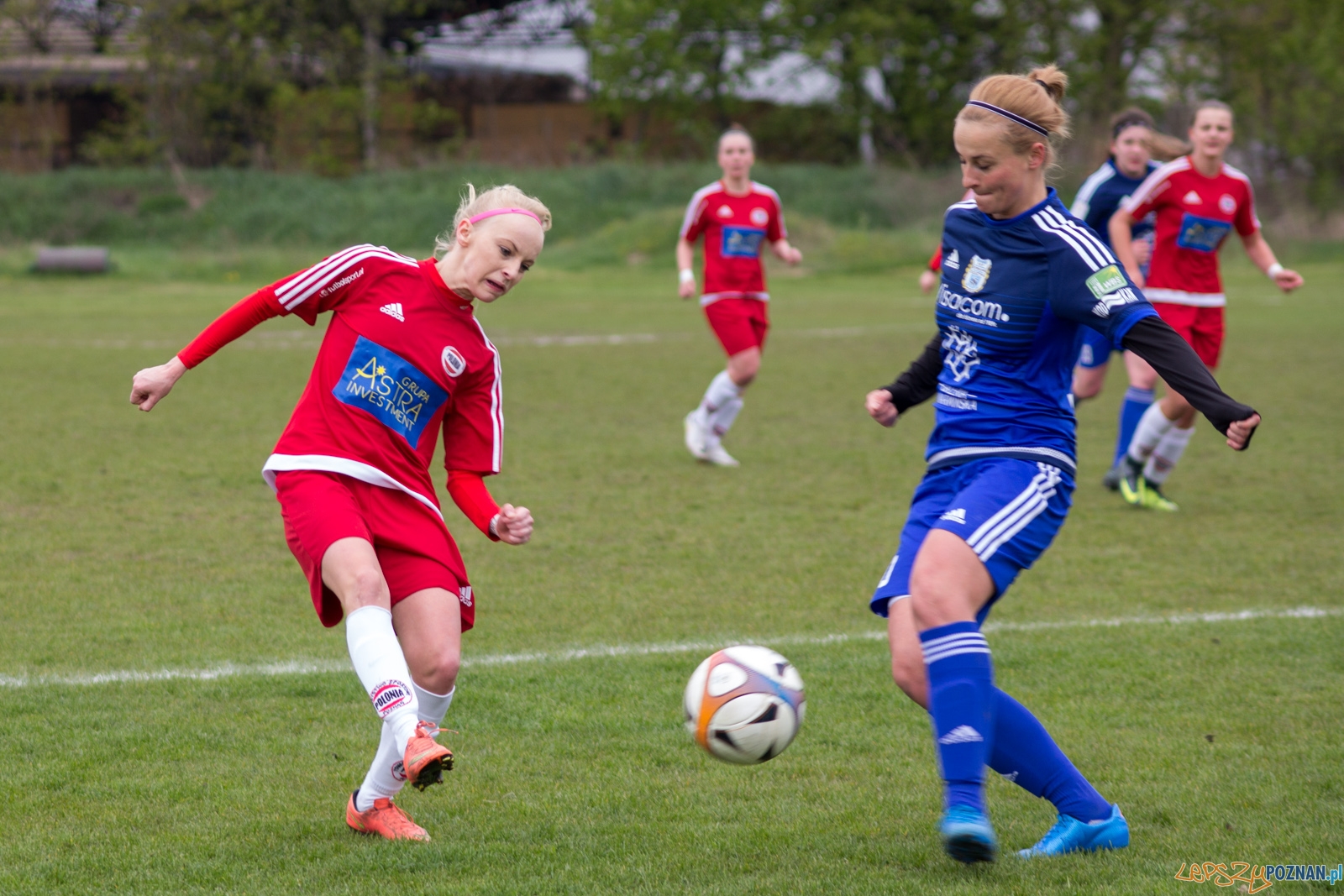 Polonia Poznań - Stomilanki Olsztyn Foto: lepszyPOZNAN.pl / Ewelina Jaśkowiak Polonia Poznań - Stomilanki Olsztyn Foto: lepszyPOZNAN.pl / Ewelina Jaśkowiak