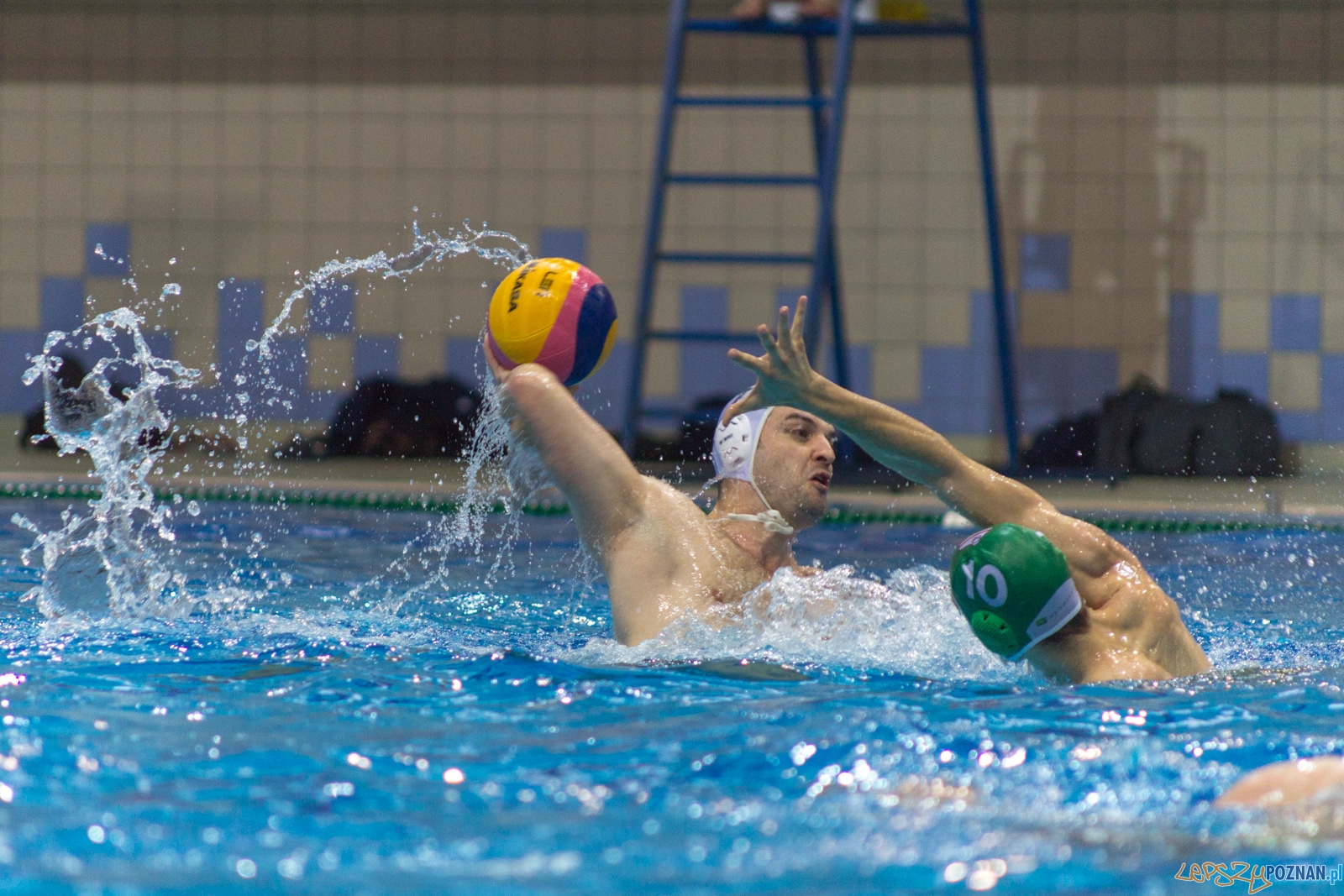 KS Waterpolo Poznań - Legia Warszawa Foto: lepszyPOZNAN.pl / Ewelina Jaśkowiak KS Waterpolo Poznań - Legia Warszawa Foto: lepszyPOZNAN.pl / Ewelina Jaśkowiak