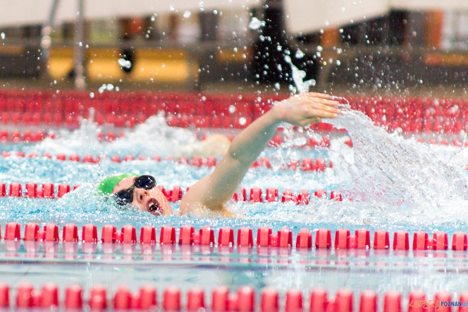 International Swimming Cup POZnań 2017 Foto: Ewelina Jaśkowiak International Swimming Cup POZnań 2017 Foto: Ewelina Jaśkowiak