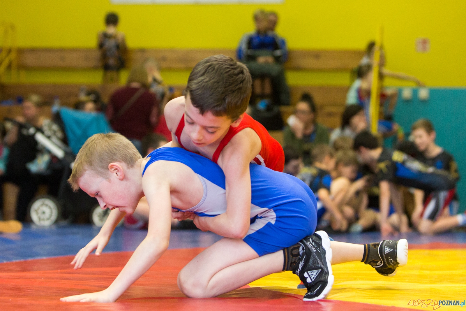 KS Sobieski - Turniej Wielkanocny Foto: lepszyPOZNAN.pl / Piotr Rychter KS Sobieski - Turniej Wielkanocny Foto: lepszyPOZNAN.pl / Piotr Rychter
