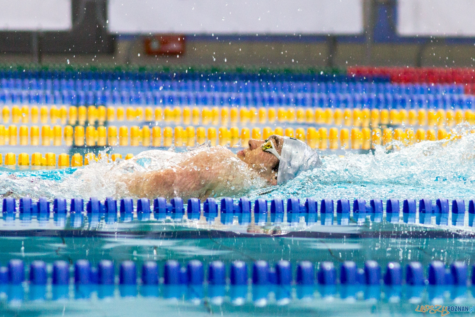 International Swimming Cup POZnań 2017 Foto: lepszyPOZNAN.pl / Ewelina Jaśkowiak International Swimming Cup POZnań 2017 Foto: lepszyPOZNAN.pl / Ewelina Jaśkowiak