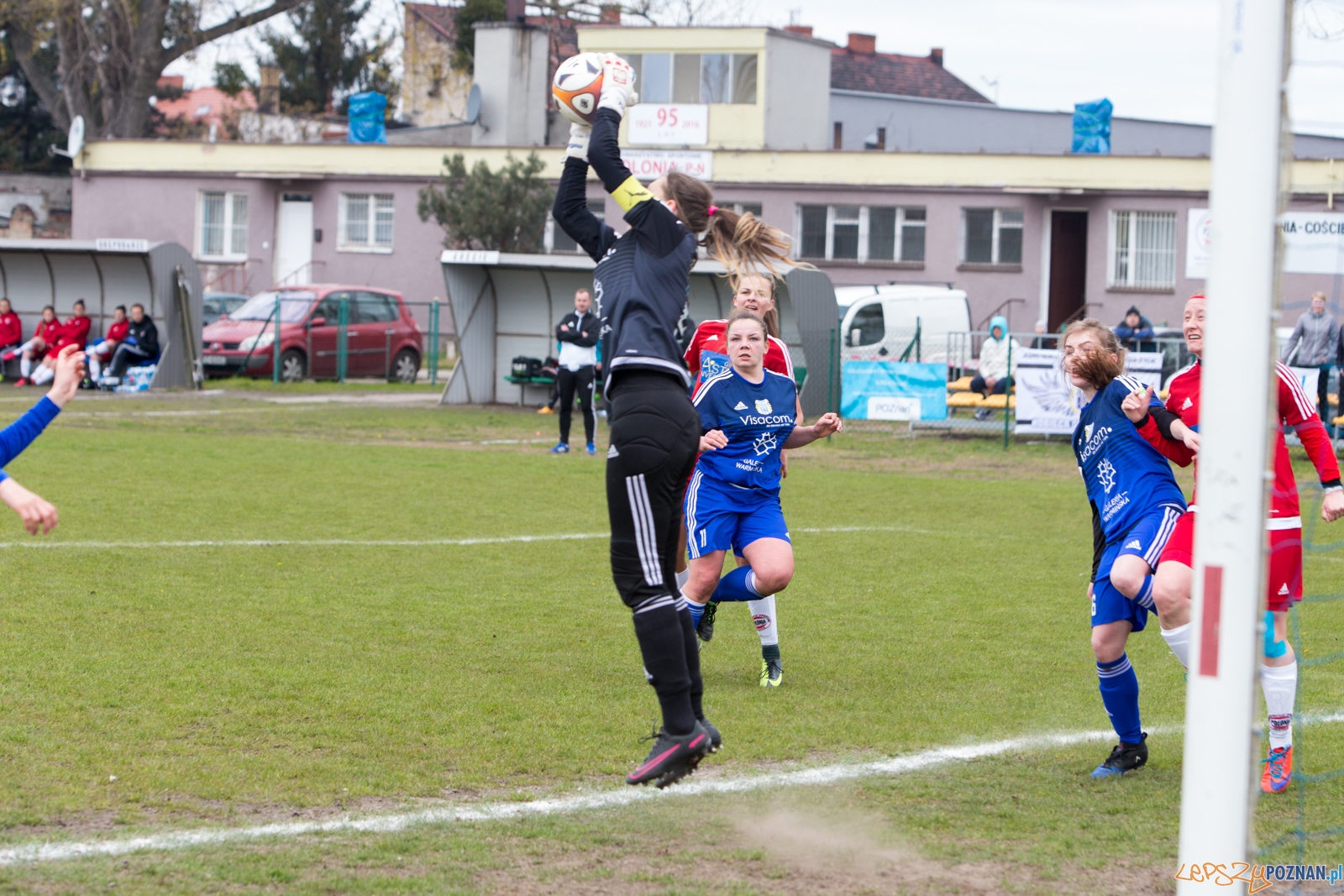 Polonia Poznań - Stomilanki Olsztyn Foto: lepszyPOZNAN.pl / Piotr Rychter Polonia Poznań - Stomilanki Olsztyn Foto: lepszyPOZNAN.pl / Piotr Rychter