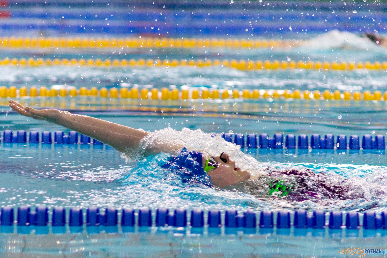 International Swimming Cup POZnań 2017 Foto: Ewelina Jaśkowiak International Swimming Cup POZnań 2017 Foto: Ewelina Jaśkowiak