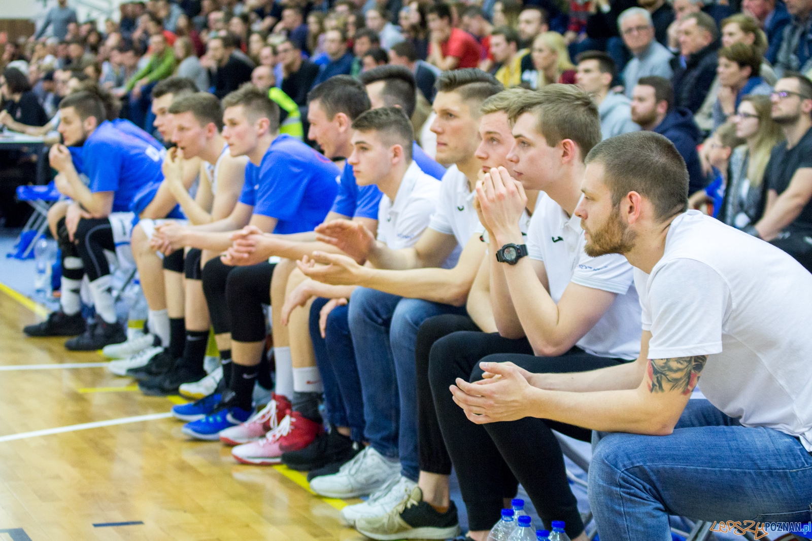 Bofarm Basket Poznań - Legia Warszawa Foto: lepszyPOZNAN.pl / Ewelina Jaśkowiak Bofarm Basket Poznań - Legia Warszawa Foto: lepszyPOZNAN.pl / Ewelina Jaśkowiak