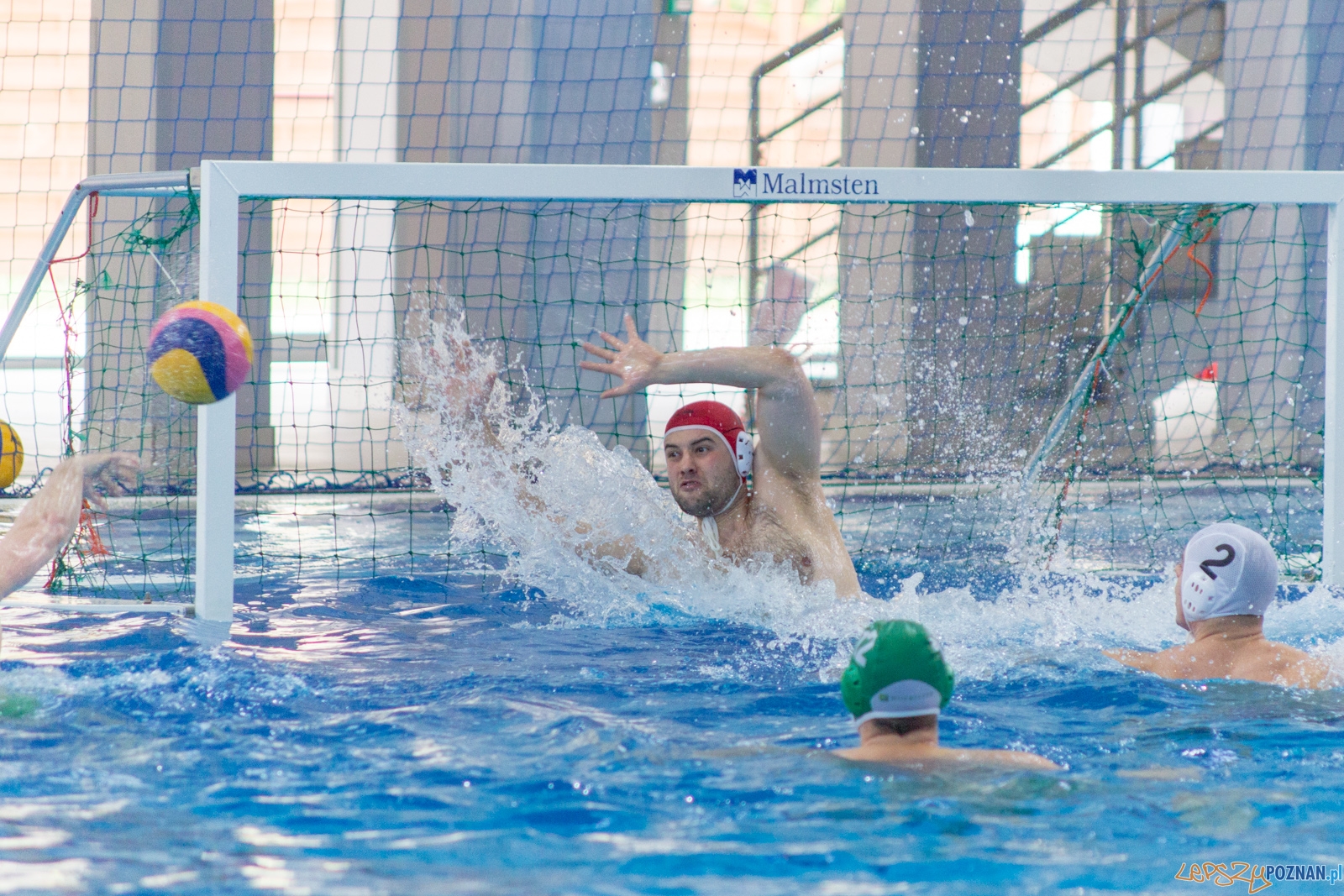 KS Waterpolo Poznań - Legia Warszawa Foto: lepszyPOZNAN.pl / Ewelina Jaśkowiak KS Waterpolo Poznań - Legia Warszawa Foto: lepszyPOZNAN.pl / Ewelina Jaśkowiak