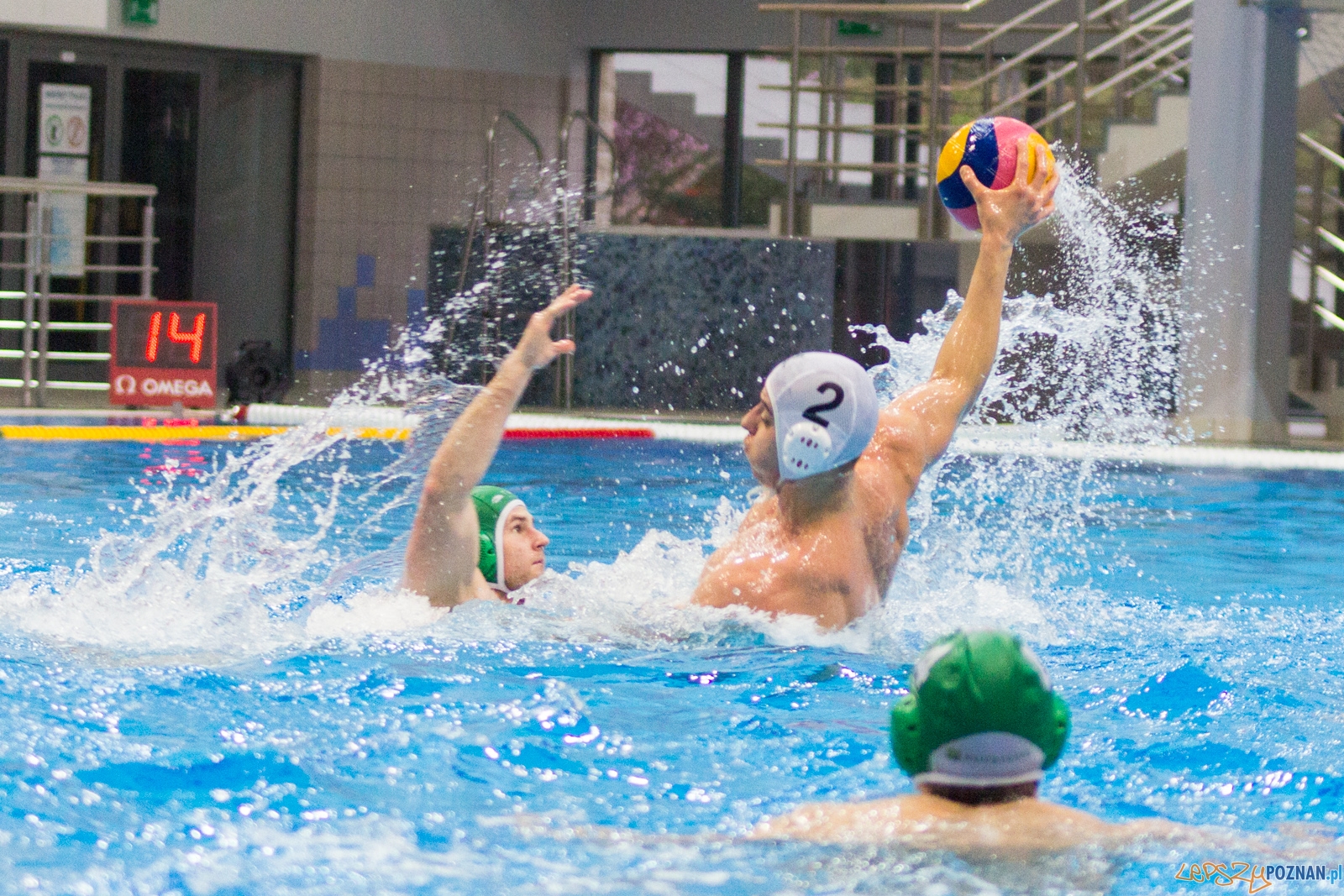 KS Waterpolo Poznań - Legia Warszawa Foto: lepszyPOZNAN.pl / Ewelina Jaśkowiak KS Waterpolo Poznań - Legia Warszawa Foto: lepszyPOZNAN.pl / Ewelina Jaśkowiak