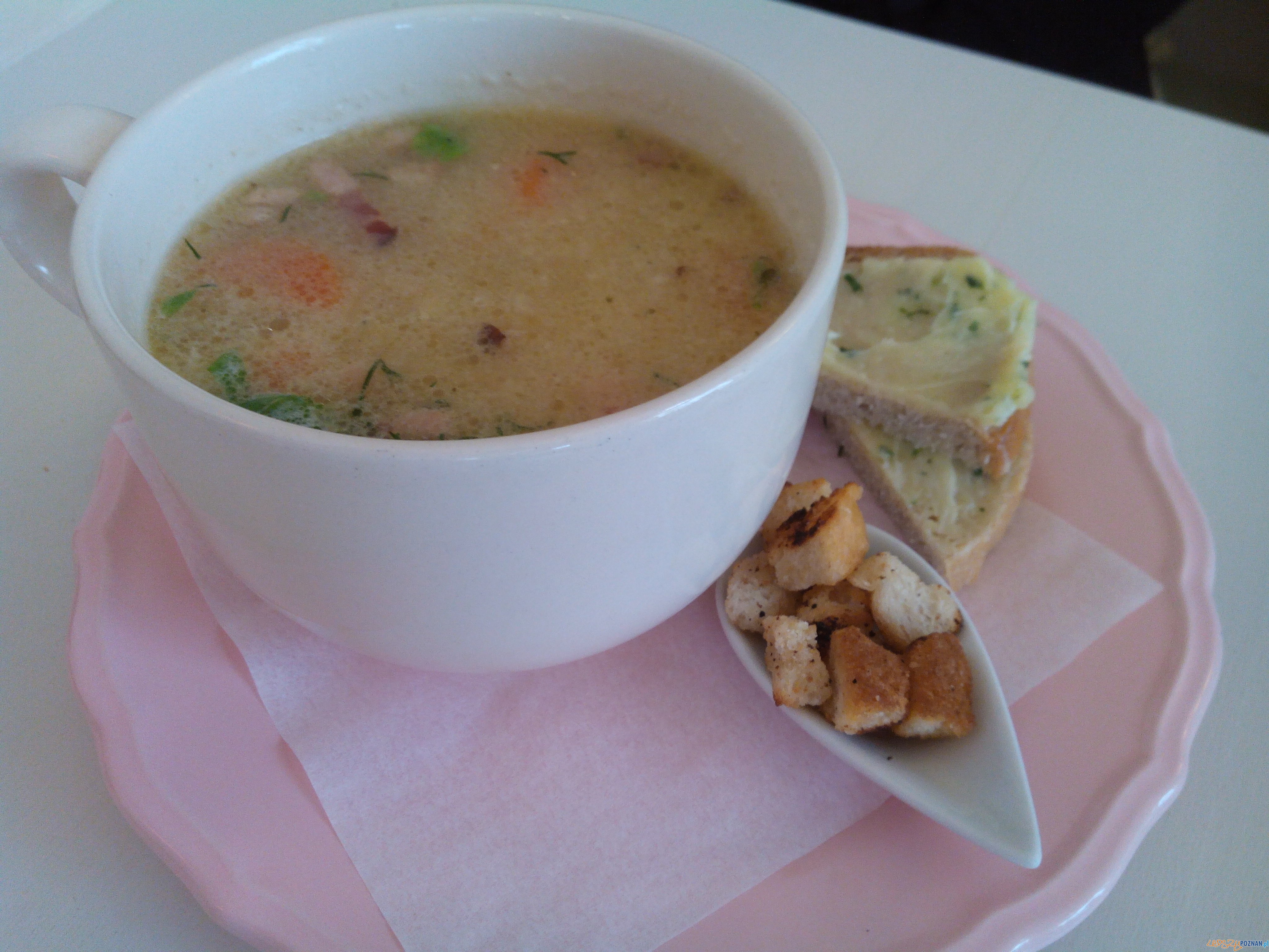 Pychotki - kapuśniak Foto: lepszyPOZNAN.pl / Piotr Rychter Pychotki - kapuśniak Foto: lepszyPOZNAN.pl / Piotr Rychter