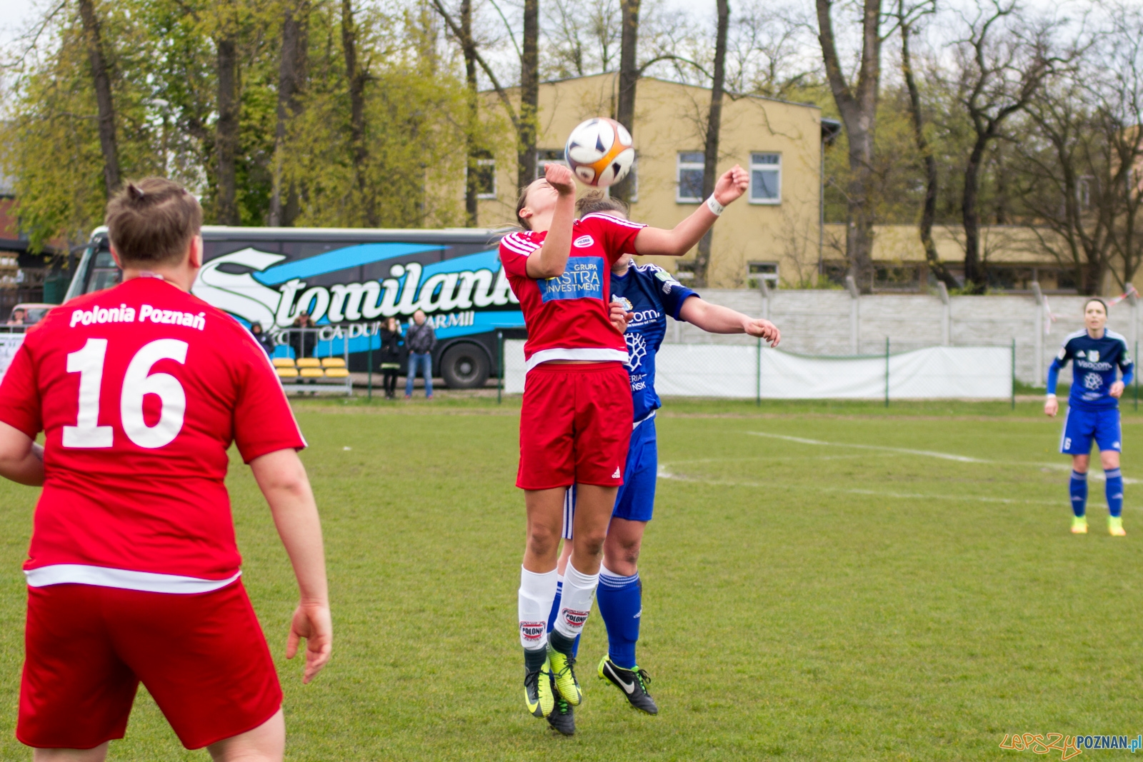 Polonia Poznań - Stomilanki Olsztyn Foto: lepszyPOZNAN.pl / Ewelina Jaśkowiak Polonia Poznań - Stomilanki Olsztyn Foto: lepszyPOZNAN.pl / Ewelina Jaśkowiak