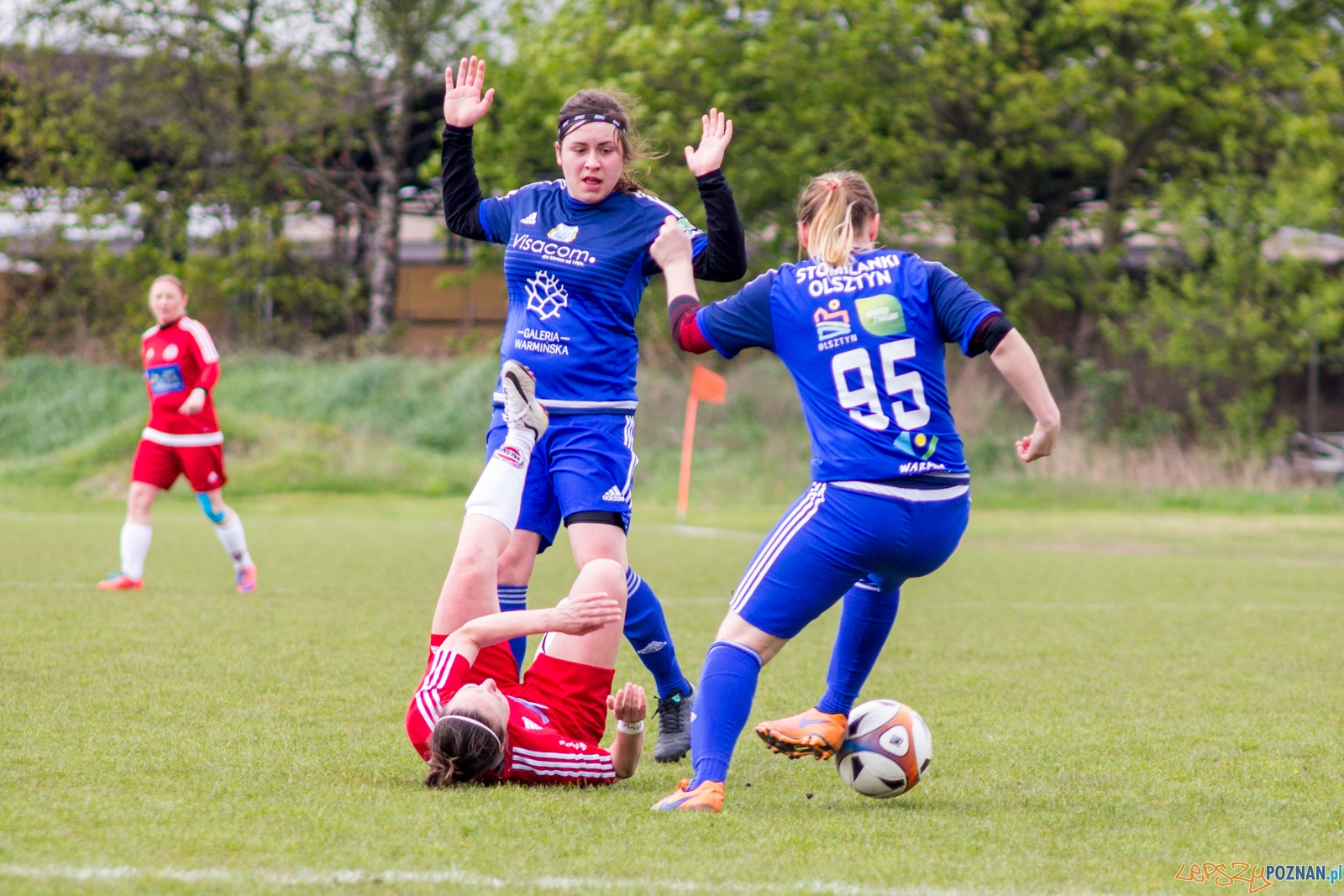 Polonia Poznań - Stomilanki Olsztyn Foto: lepszyPOZNAN.pl / Ewelina Jaśkowiak Polonia Poznań - Stomilanki Olsztyn Foto: lepszyPOZNAN.pl / Ewelina Jaśkowiak