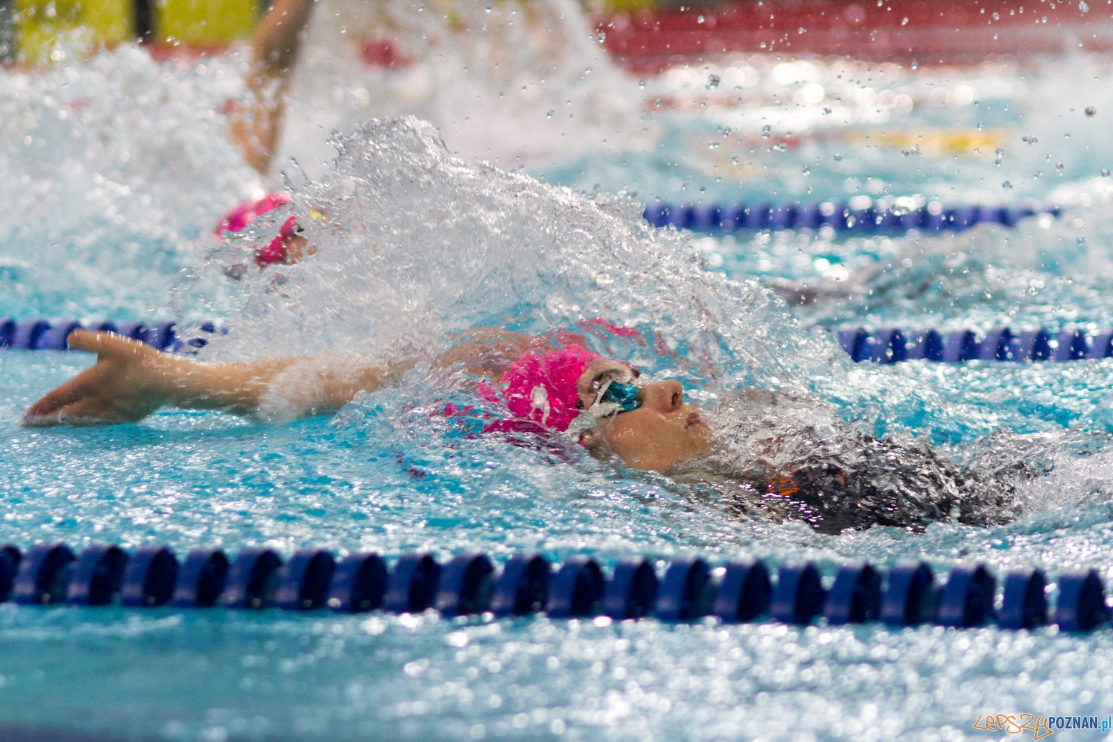 International Swimming Cup POZnań 2017 Foto: lepszyPOZNAN.pl / Ewelina Jaśkowiak International Swimming Cup POZnań 2017 Foto: lepszyPOZNAN.pl / Ewelina Jaśkowiak