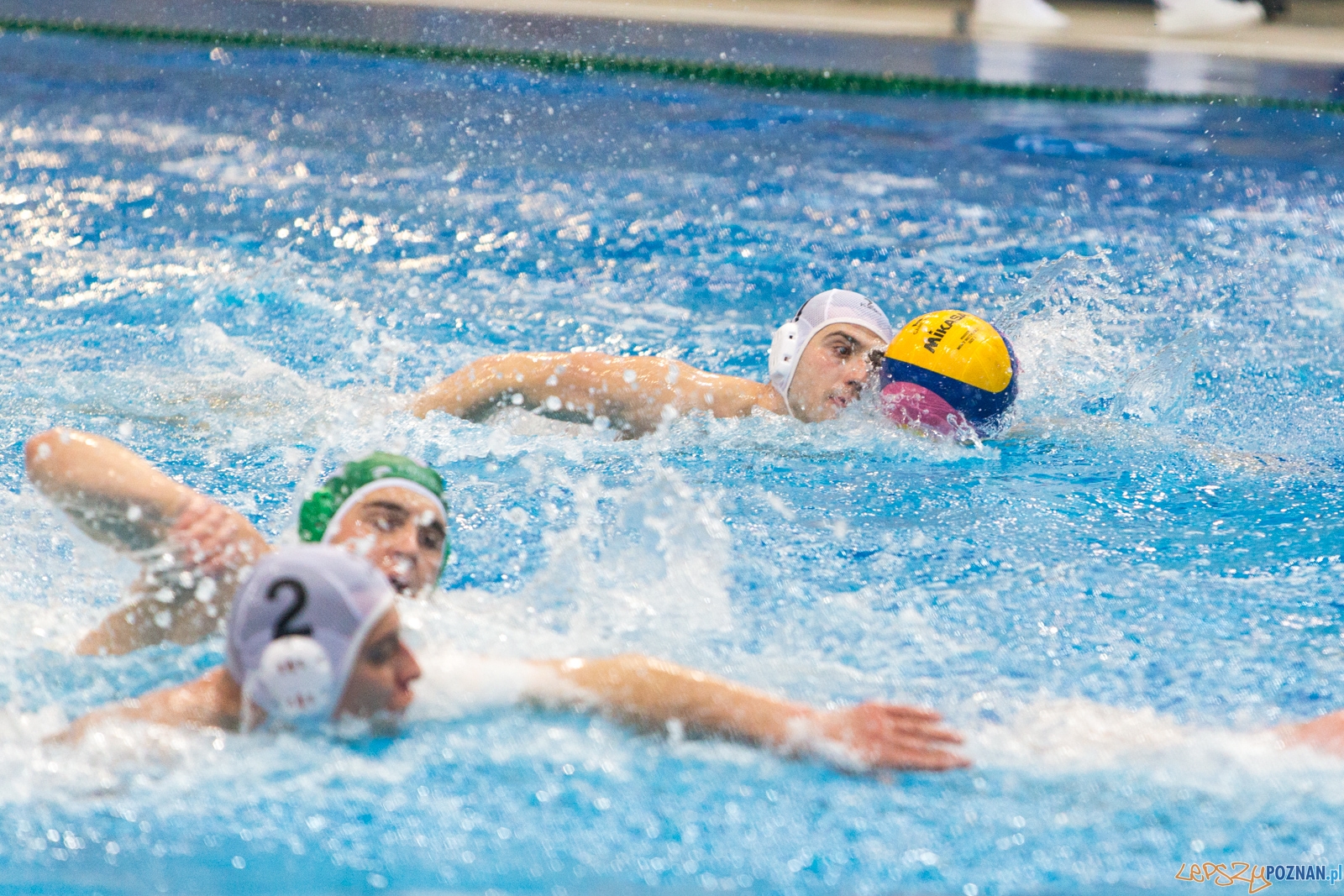 KS Waterolo Poznań - Legia Warszawa Foto: lepszyPOZNAN.pl / Piotr Rychter KS Waterolo Poznań - Legia Warszawa Foto: lepszyPOZNAN.pl / Piotr Rychter