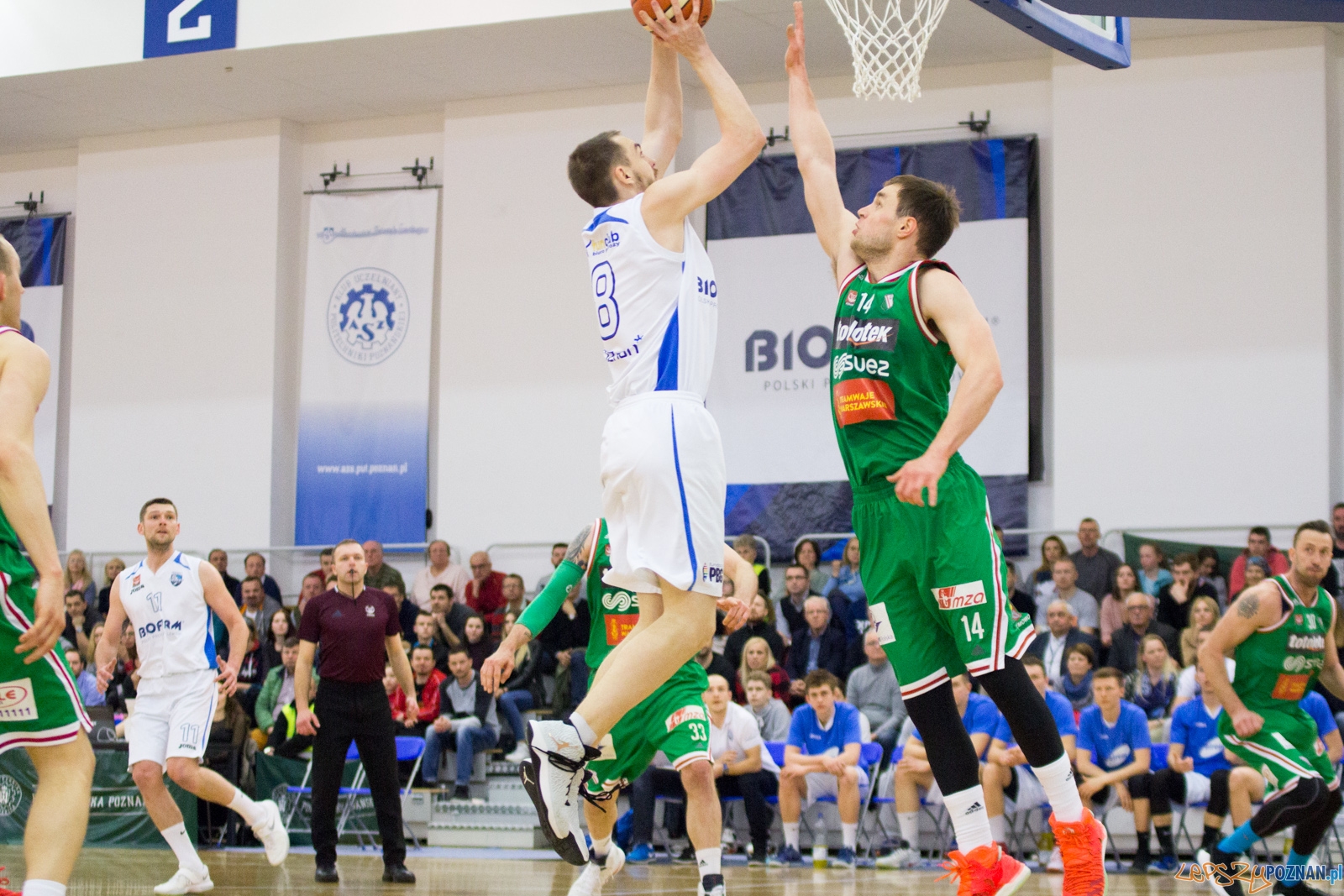 Bofarm Basket Poznań - Legia Warszawa Foto: lepszyPOZNAN.pl / Ewelina Jaśkowiak Bofarm Basket Poznań - Legia Warszawa Foto: lepszyPOZNAN.pl / Ewelina Jaśkowiak