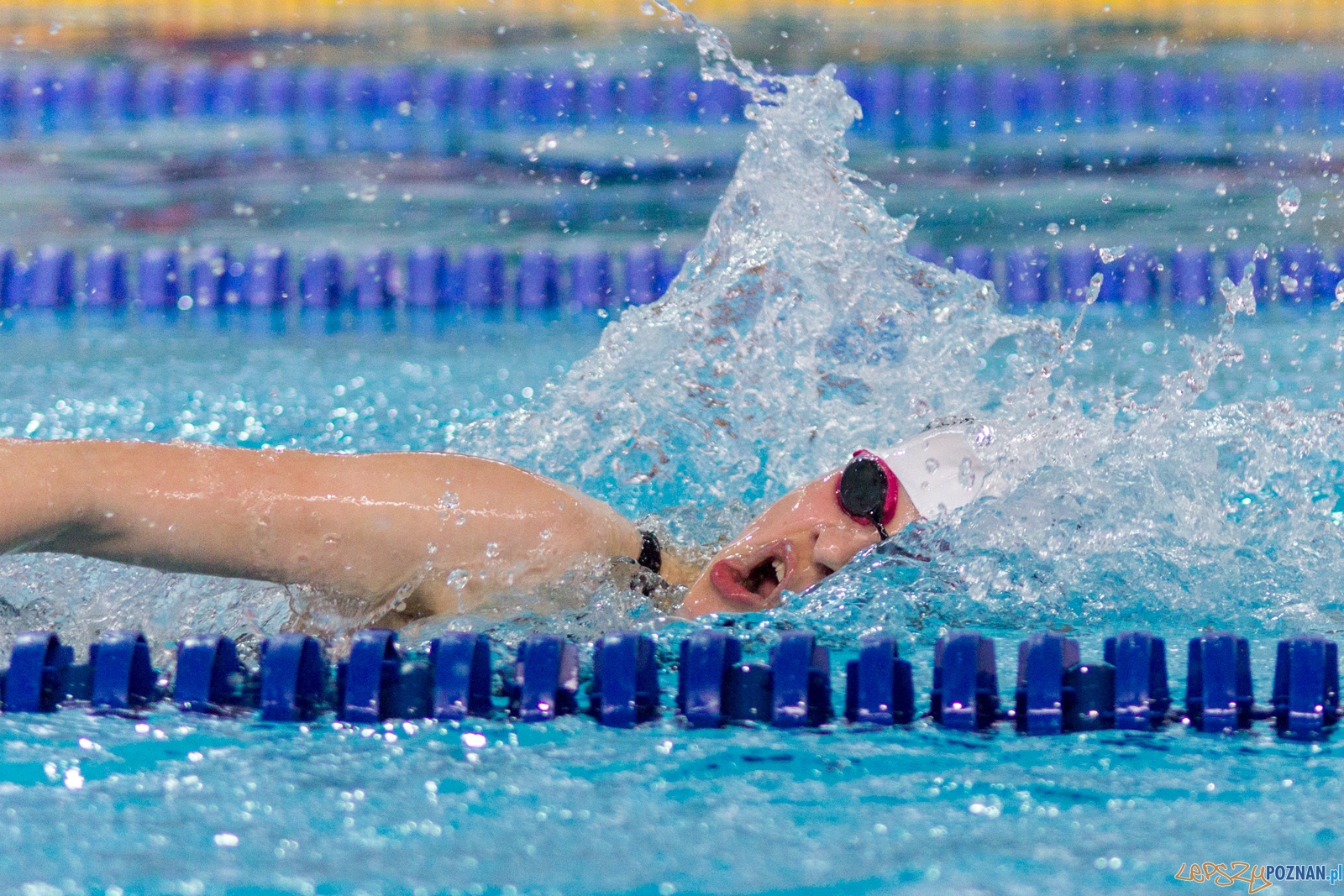 International Swimming Cup POZnań 2017 Foto: Ewelina Jaśkowiak International Swimming Cup POZnań 2017 Foto: Ewelina Jaśkowiak