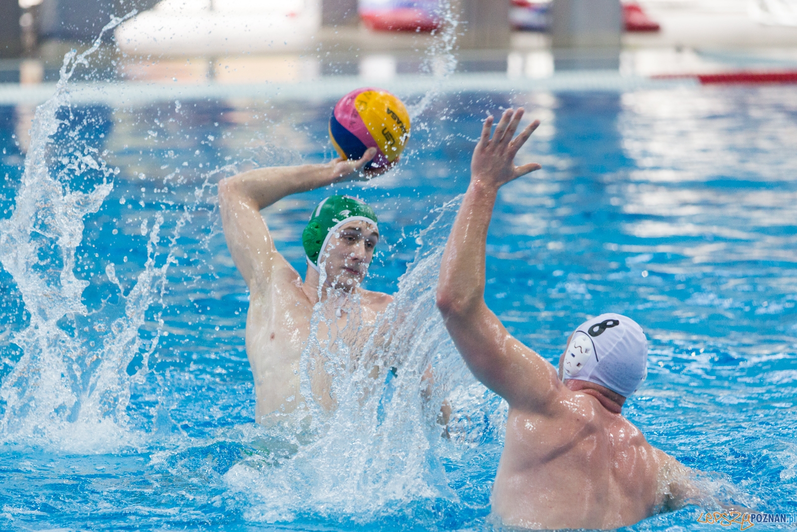 KS Waterpolo Poznań - Legia Warszawa Foto: lepszyPOZNAN.pl / Piotr Rychter KS Waterpolo Poznań - Legia Warszawa Foto: lepszyPOZNAN.pl / Piotr Rychter