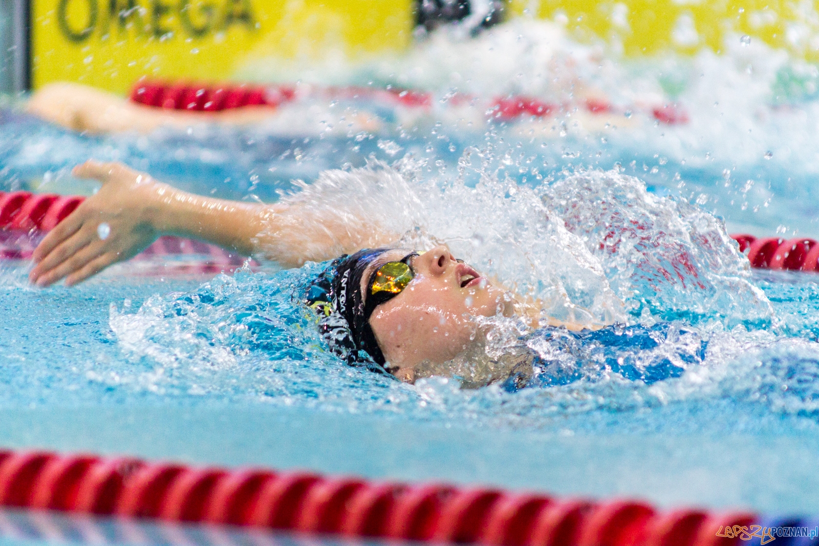 International Swimming Cup POZnań 2017 Foto: lepszyPOZNAN.pl / Ewelina Jaśkowiak International Swimming Cup POZnań 2017 Foto: lepszyPOZNAN.pl / Ewelina Jaśkowiak