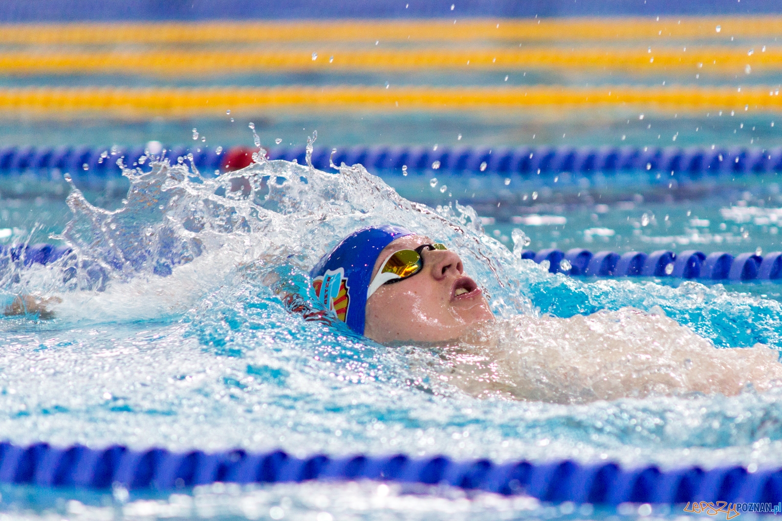 International Swimming Cup POZnań 2017 Foto: lepszyPOZNAN.pl / Ewelina Jaśkowiak International Swimming Cup POZnań 2017 Foto: lepszyPOZNAN.pl / Ewelina Jaśkowiak