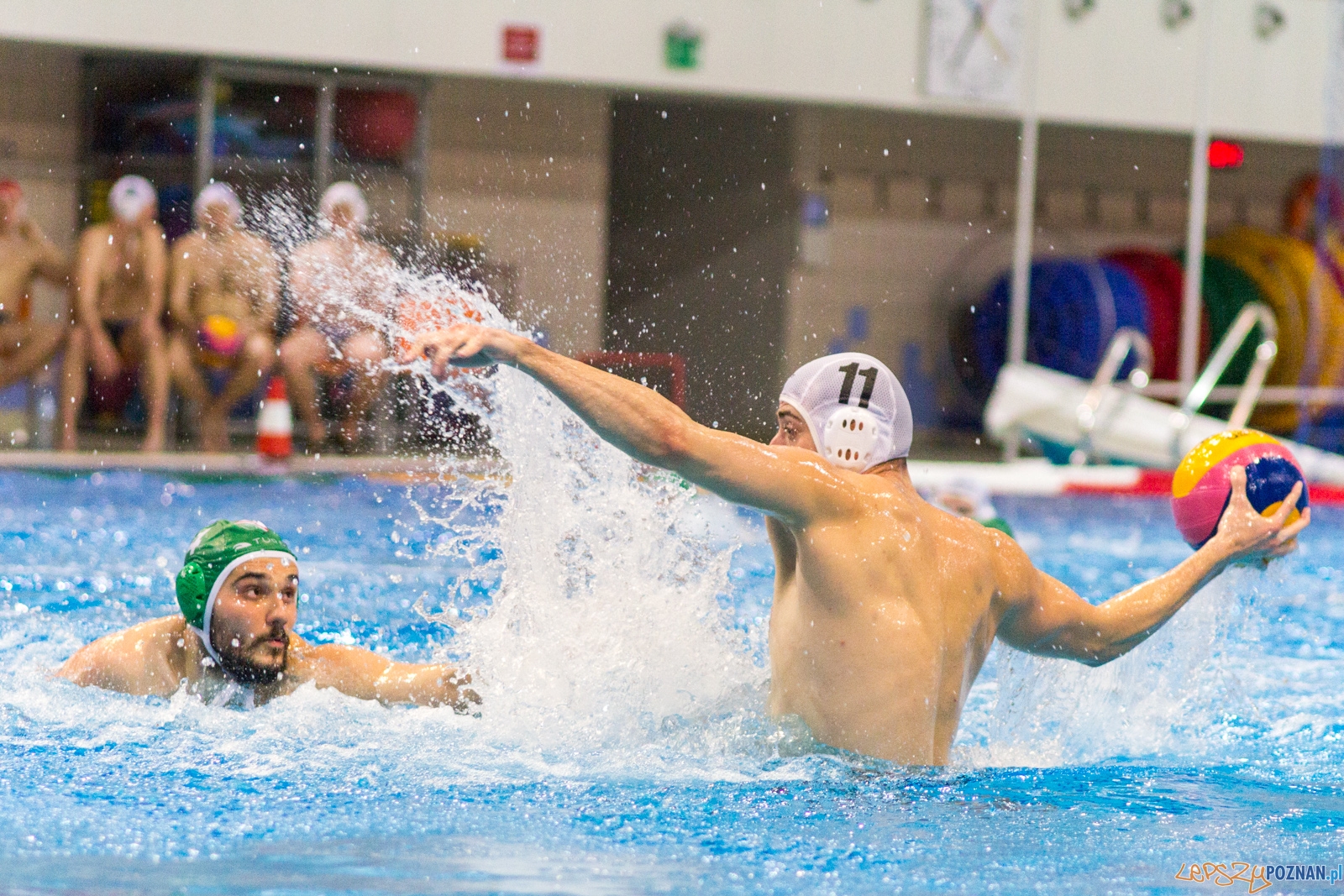 KS Waterpolo Poznań - Legia Warszawa Foto: lepszyPOZNAN.pl / Ewelina Jaśkowiak KS Waterpolo Poznań - Legia Warszawa Foto: lepszyPOZNAN.pl / Ewelina Jaśkowiak