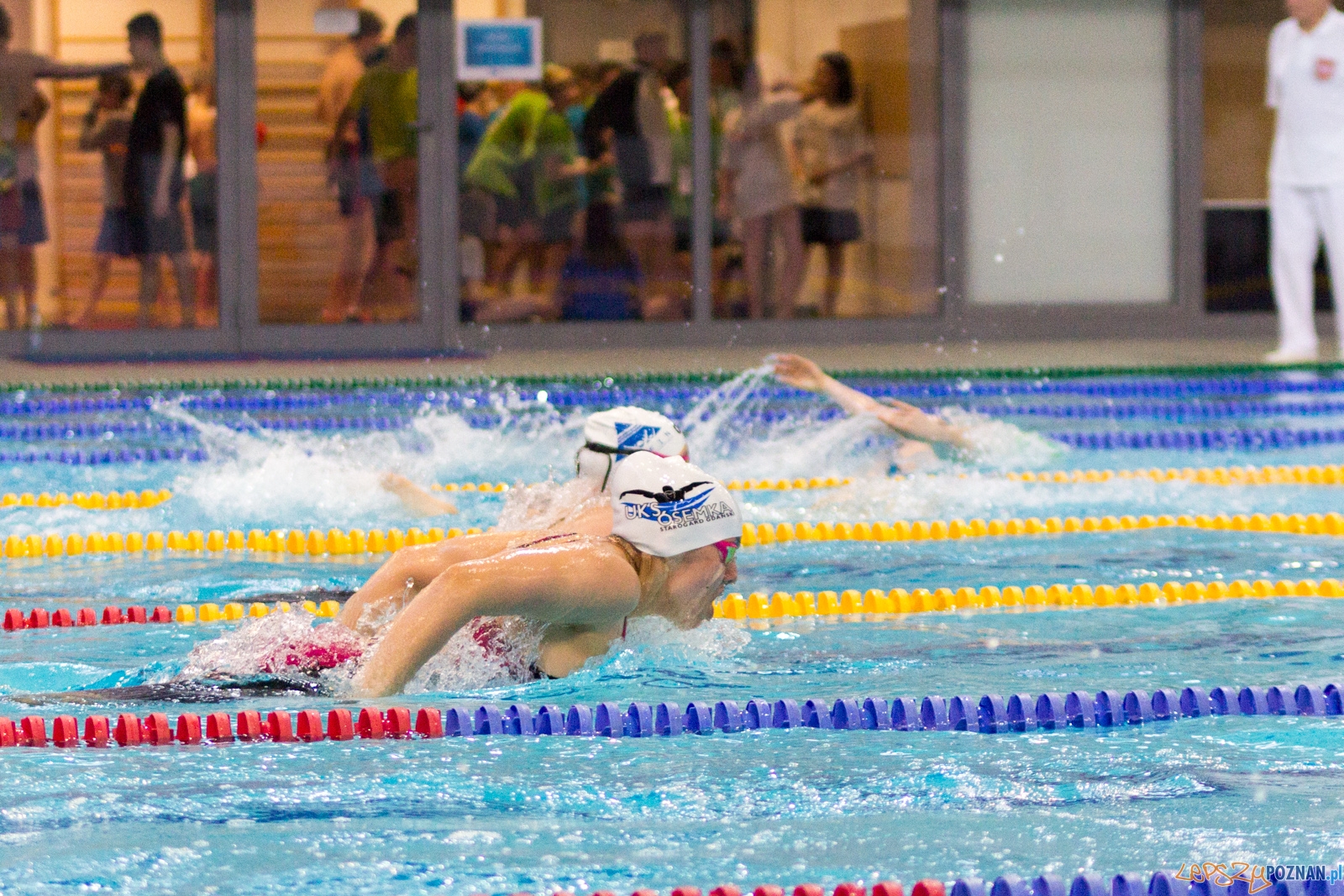 International Swimming Cup POZnań 2017 Foto: Ewelina Jaśkowiak International Swimming Cup POZnań 2017 Foto: Ewelina Jaśkowiak