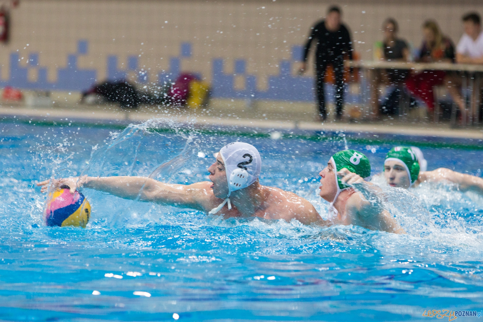 KS Waterolo Poznań - Legia Warszawa Foto: lepszyPOZNAN.pl / Piotr Rychter KS Waterolo Poznań - Legia Warszawa Foto: lepszyPOZNAN.pl / Piotr Rychter