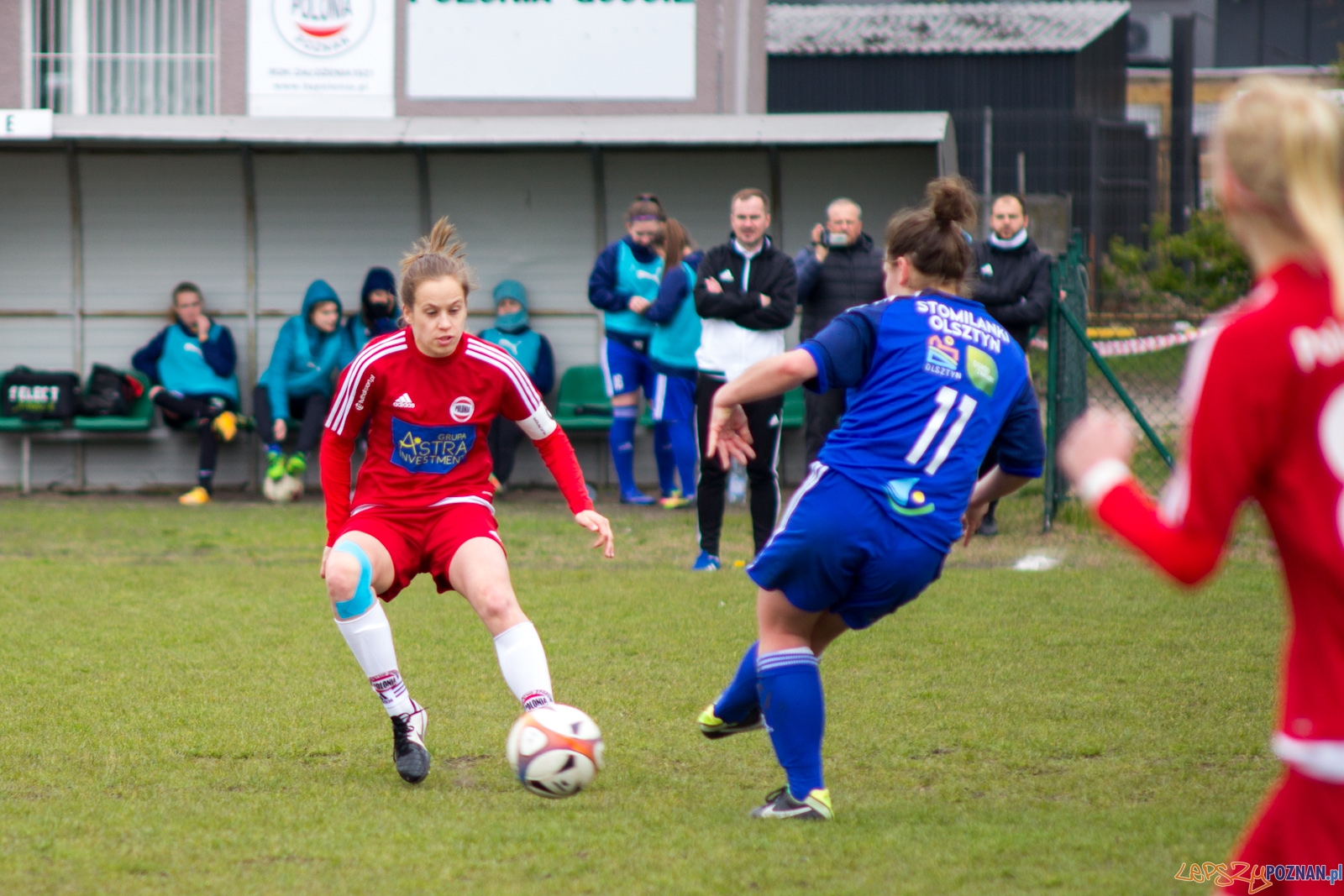 Polonia Poznań - Stomilanki Olsztyn Foto: lepszyPOZNAN.pl / Ewelina Jaśkowiak Polonia Poznań - Stomilanki Olsztyn Foto: lepszyPOZNAN.pl / Ewelina Jaśkowiak
