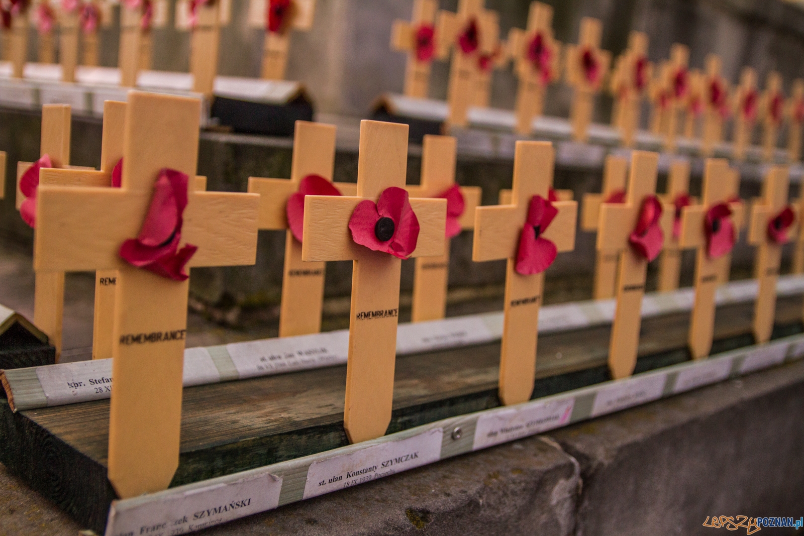 Capstrzyk podczas 32. Dni Ułana (22.04.2017) Foto: © Karolina Kiraga Capstrzyk podczas 32. Dni Ułana (22.04.2017) Foto: © Karolina Kiraga