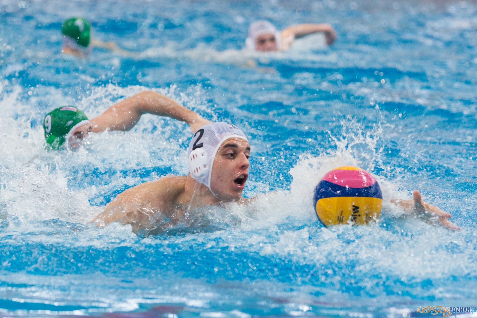 KS Waterpolo Poznań - Legia Warszawa Foto: lepszyPOZNAN.pl / Piotr Rychter KS Waterpolo Poznań - Legia Warszawa Foto: lepszyPOZNAN.pl / Piotr Rychter