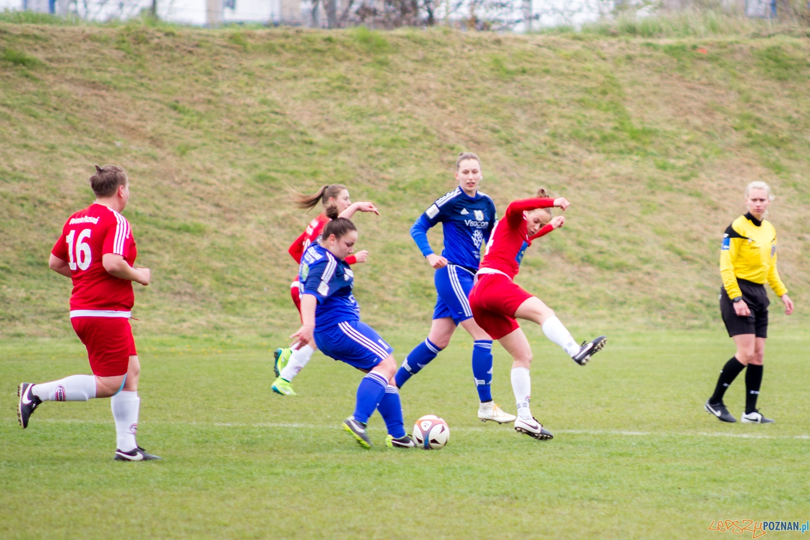 Polonia Poznań - Stomilanki Olsztyn Foto: lepszyPOZNAN.pl / Ewelina Jaśkowiak Polonia Poznań - Stomilanki Olsztyn Foto: lepszyPOZNAN.pl / Ewelina Jaśkowiak