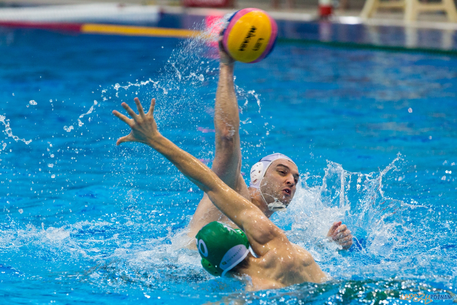 KS Waterolo Poznań - Legia Warszawa Foto: lepszyPOZNAN.pl / Piotr Rychter KS Waterolo Poznań - Legia Warszawa Foto: lepszyPOZNAN.pl / Piotr Rychter