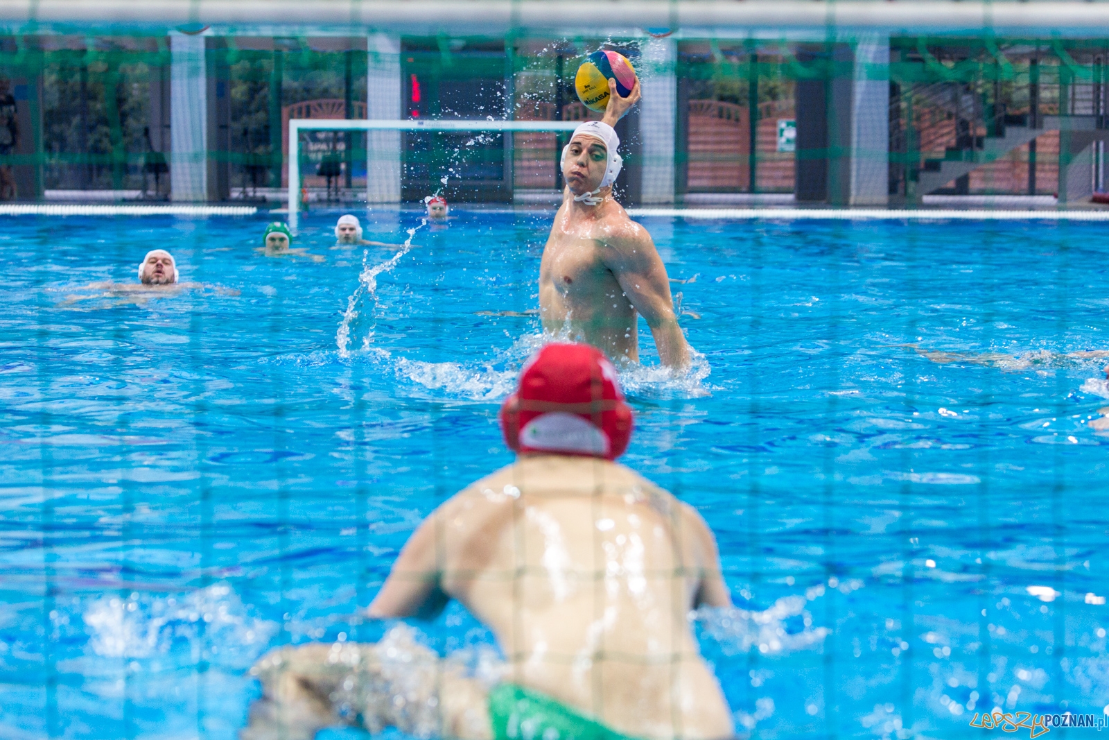 KS Waterolo Poznań - Legia Warszawa Foto: lepszyPOZNAN.pl / Piotr Rychter KS Waterolo Poznań - Legia Warszawa Foto: lepszyPOZNAN.pl / Piotr Rychter