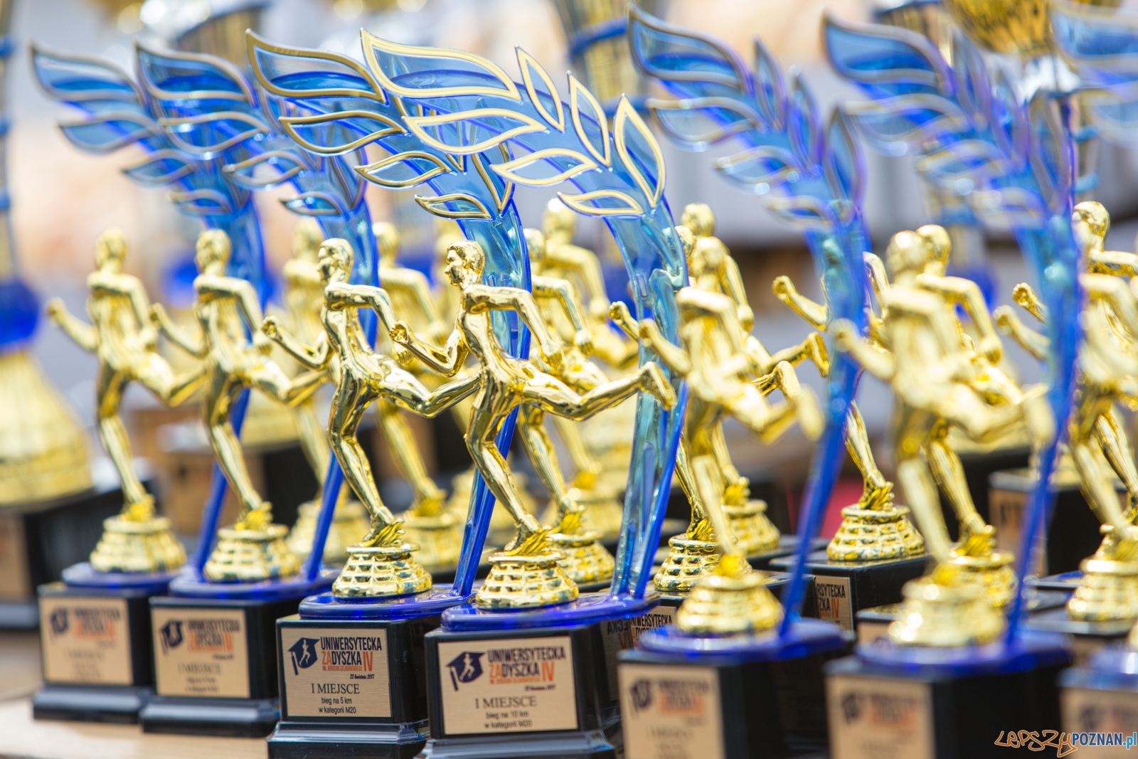 IV Uniwersytecka ZaDyszka im. Jerzego Żeligowskiego Foto: lepszyPOZNAN.pl / Piotr Rychter IV Uniwersytecka ZaDyszka im. Jerzego Żeligowskiego Foto: lepszyPOZNAN.pl / Piotr Rychter