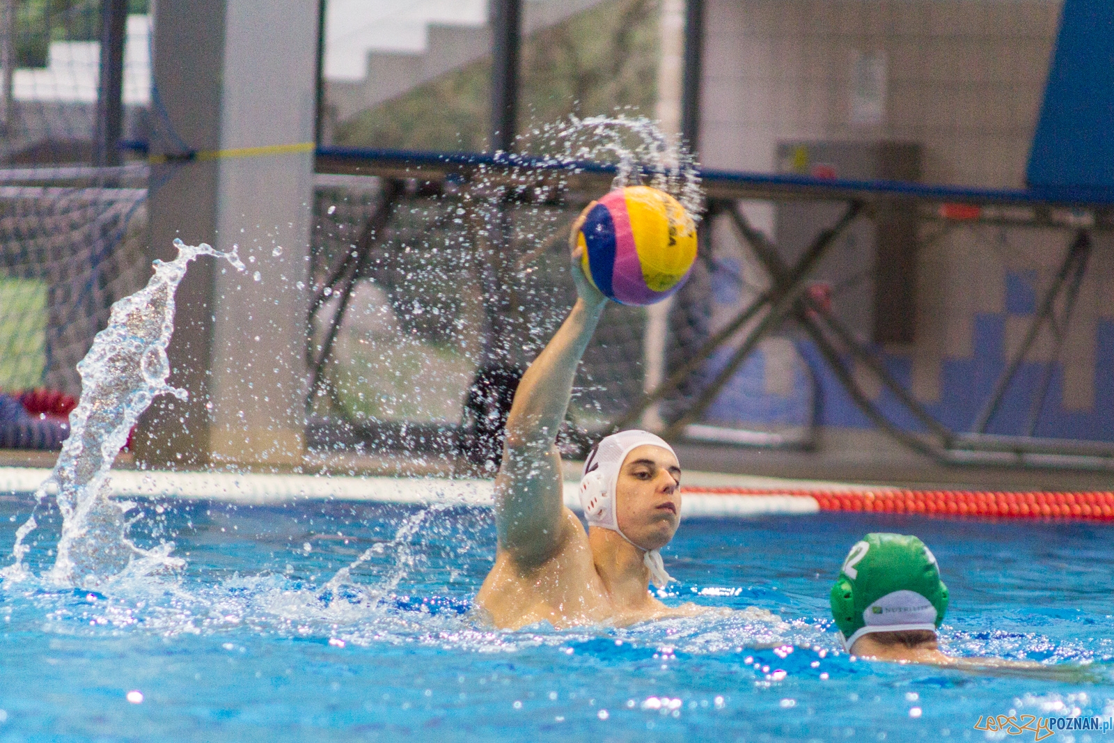 KS Waterpolo Poznań - Legia Warszawa Foto: lepszyPOZNAN.pl / Ewelina Jaśkowiak KS Waterpolo Poznań - Legia Warszawa Foto: lepszyPOZNAN.pl / Ewelina Jaśkowiak