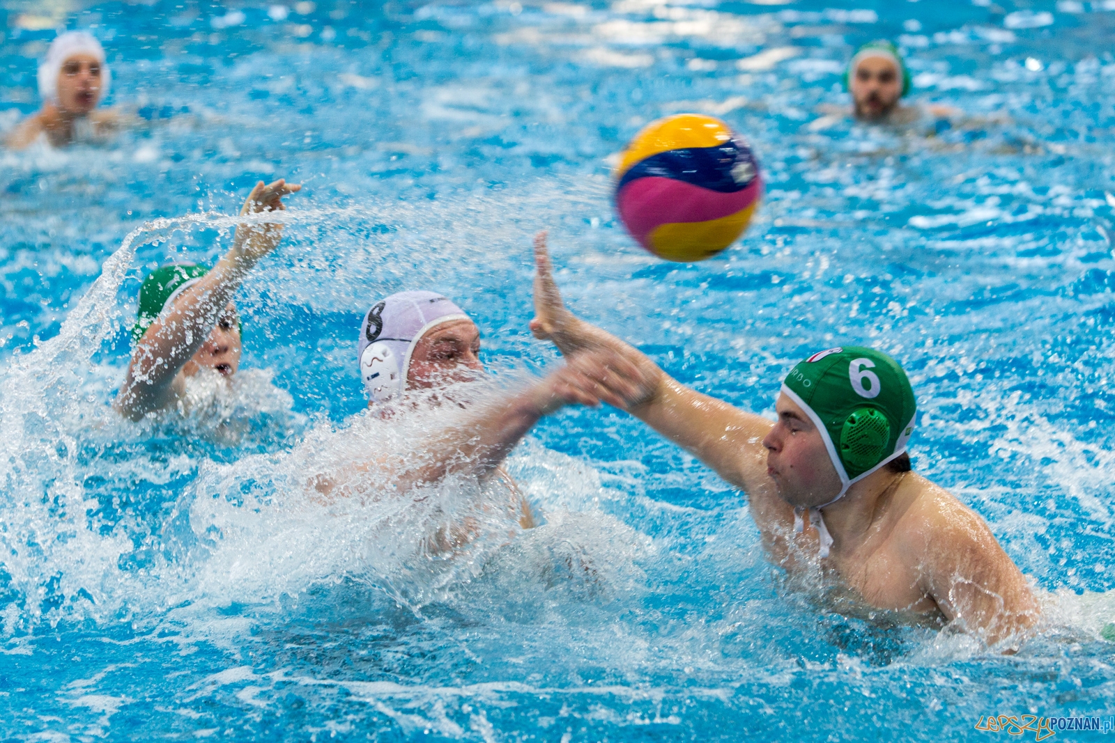 KS Waterpolo Poznań - Legia Warszawa Foto: lepszyPOZNAN.pl / Piotr Rychter KS Waterpolo Poznań - Legia Warszawa Foto: lepszyPOZNAN.pl / Piotr Rychter