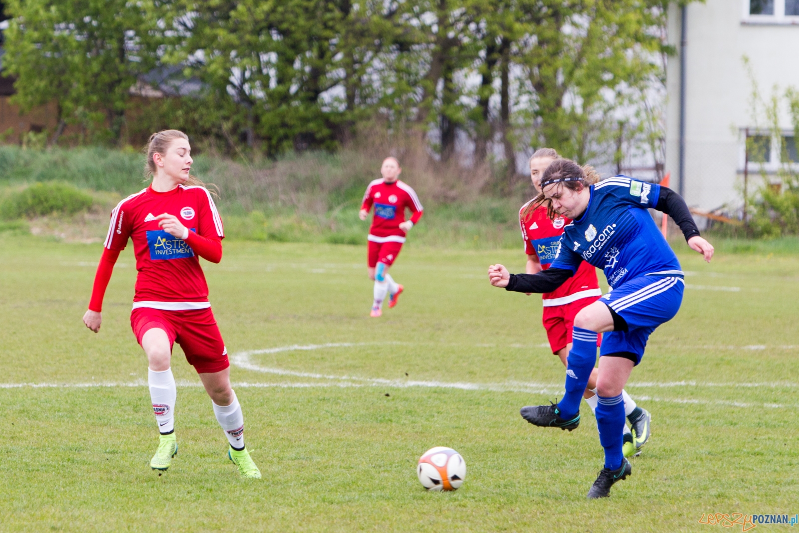 Polonia Poznań - Stomilanki Olsztyn Foto: lepszyPOZNAN.pl / Piotr Rychter Polonia Poznań - Stomilanki Olsztyn Foto: lepszyPOZNAN.pl / Piotr Rychter