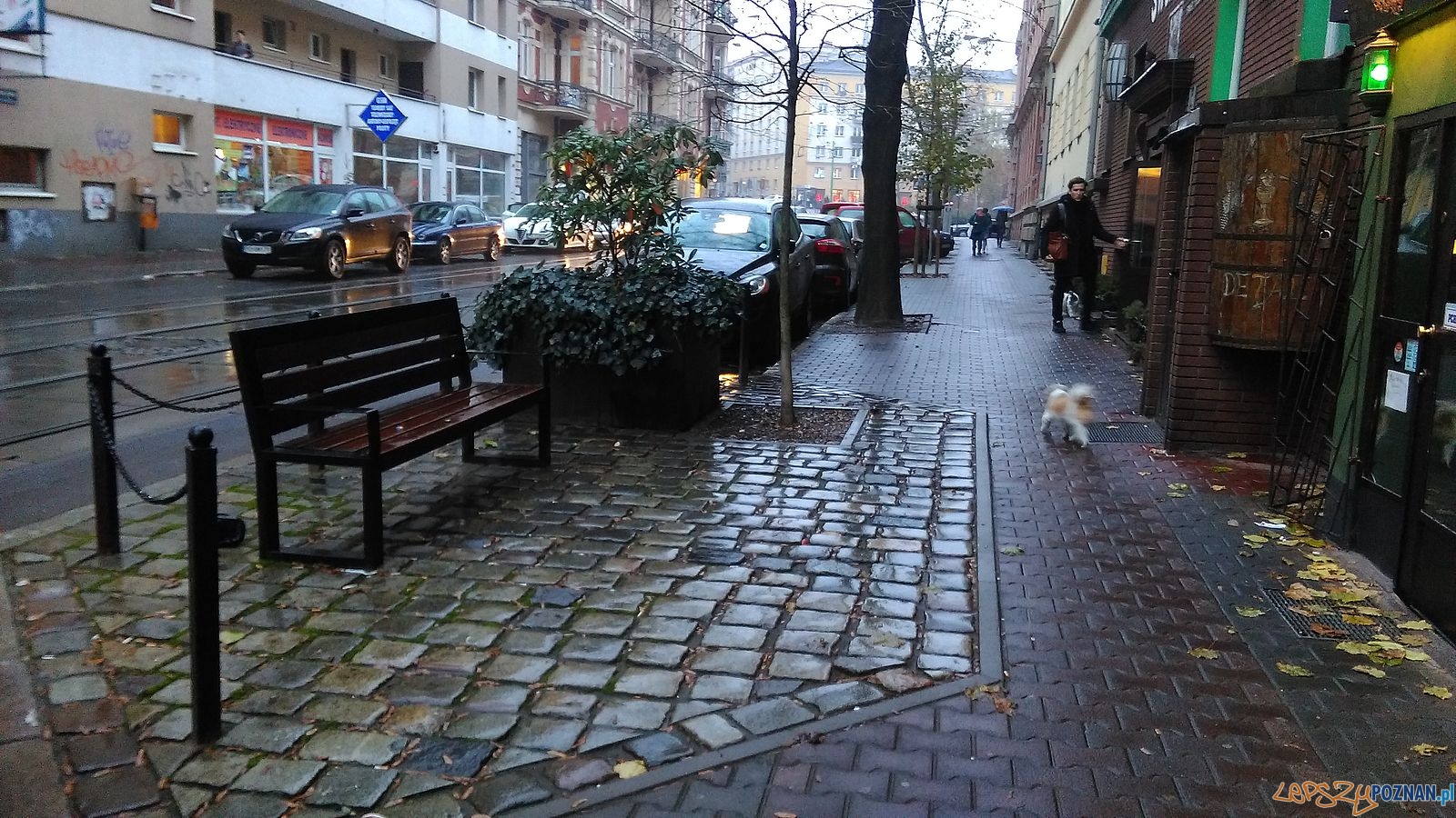 Enklawy zielni na ul. 23 lutego Foto: TD / ROSM Enklawy zielni na ul. 23 lutego Foto: TD / ROSM