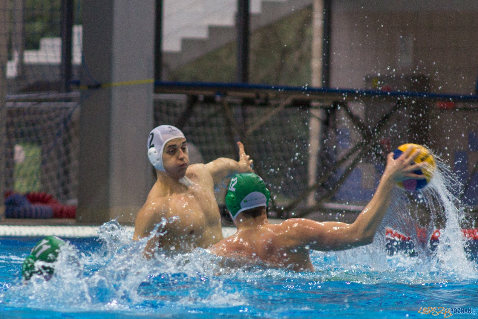 KS Waterpolo Poznań - Legia Warszawa Foto: lepszyPOZNAN.pl / Ewelina Jaśkowiak KS Waterpolo Poznań - Legia Warszawa Foto: lepszyPOZNAN.pl / Ewelina Jaśkowiak
