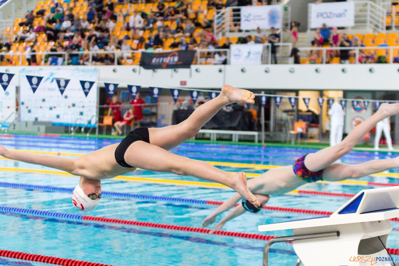 International Swimming Cup POZnań 2017 Foto: Ewelina Jaśkowiak International Swimming Cup POZnań 2017 Foto: Ewelina Jaśkowiak