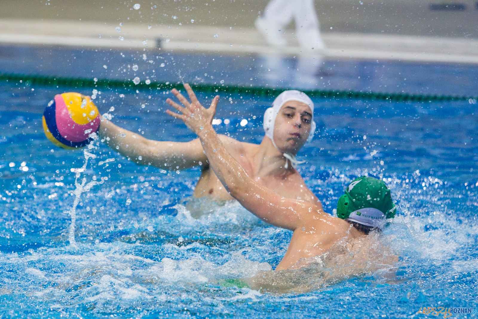 KS Waterolo Poznań - Legia Warszawa Foto: lepszyPOZNAN.pl / Piotr Rychter KS Waterolo Poznań - Legia Warszawa Foto: lepszyPOZNAN.pl / Piotr Rychter