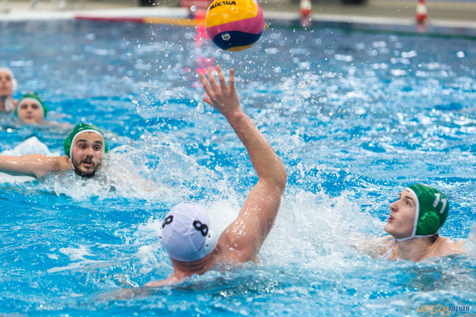 KS Waterpolo Poznań - Legia Warszawa Foto: lepszyPOZNAN.pl / Piotr Rychter KS Waterpolo Poznań - Legia Warszawa Foto: lepszyPOZNAN.pl / Piotr Rychter