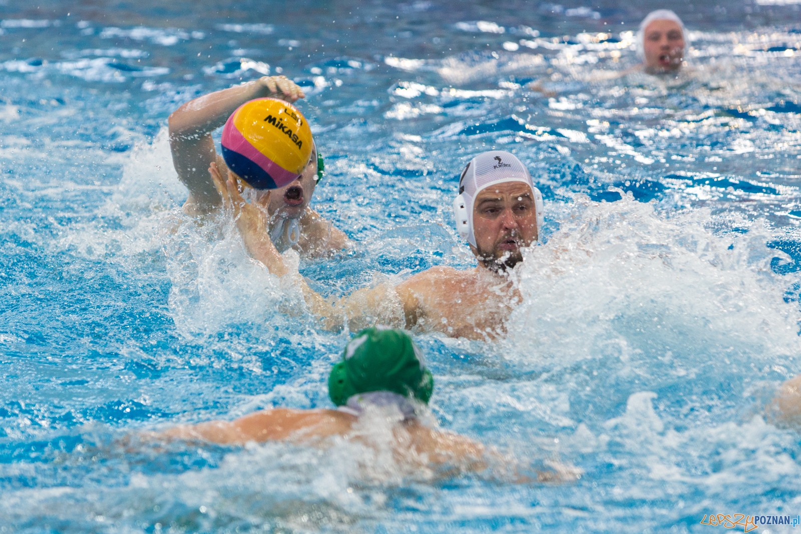 KS Waterpolo Poznań - Legia Warszawa Foto: lepszyPOZNAN.pl / Piotr Rychter KS Waterpolo Poznań - Legia Warszawa Foto: lepszyPOZNAN.pl / Piotr Rychter