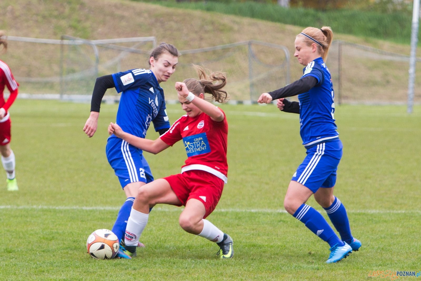 Polonia Poznań - Stomilanki Olsztyn Foto: lepszyPOZNAN.pl / Piotr Rychter Polonia Poznań - Stomilanki Olsztyn Foto: lepszyPOZNAN.pl / Piotr Rychter
