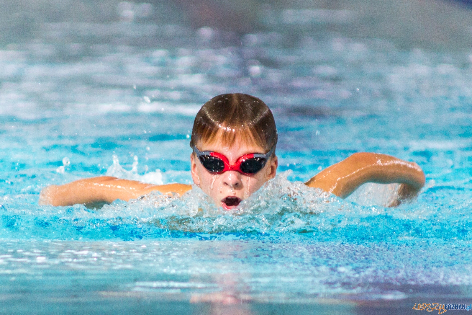 International Swimming Cup POZnań 2017 Foto: lepszyPOZNAN.pl / Ewelina Jaśkowiak International Swimming Cup POZnań 2017 Foto: lepszyPOZNAN.pl / Ewelina Jaśkowiak