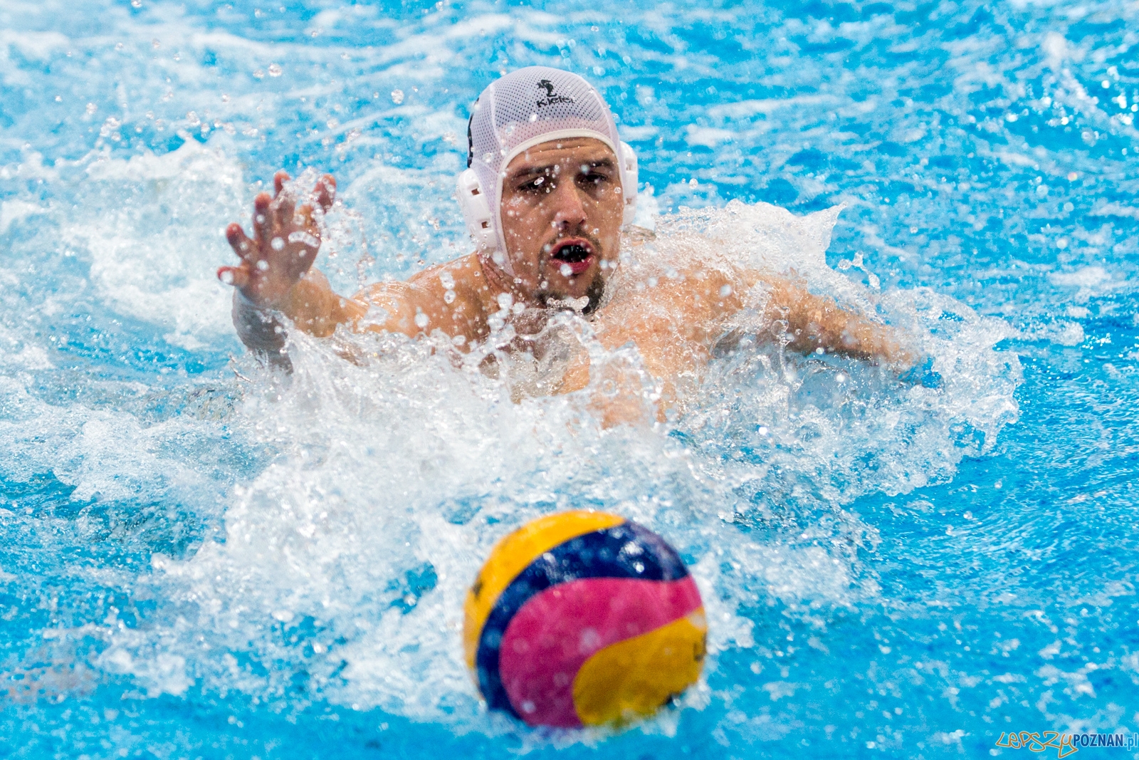 KS Waterpolo Poznań - Legia Warszawa Foto: lepszyPOZNAN.pl / Piotr Rychter KS Waterpolo Poznań - Legia Warszawa Foto: lepszyPOZNAN.pl / Piotr Rychter