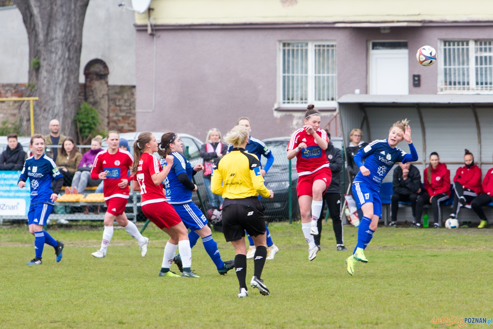 Polonia Poznań - Stomilanki Olsztyn Foto: lepszyPOZNAN.pl / Piotr Rychter Polonia Poznań - Stomilanki Olsztyn Foto: lepszyPOZNAN.pl / Piotr Rychter