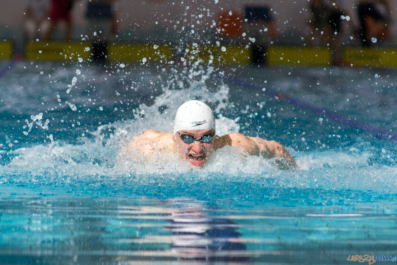 International Swimming Cup POZnań 2017 Foto: lepszyPOZNAN.pl / Ewelina Jaśkowiak International Swimming Cup POZnań 2017 Foto: lepszyPOZNAN.pl / Ewelina Jaśkowiak