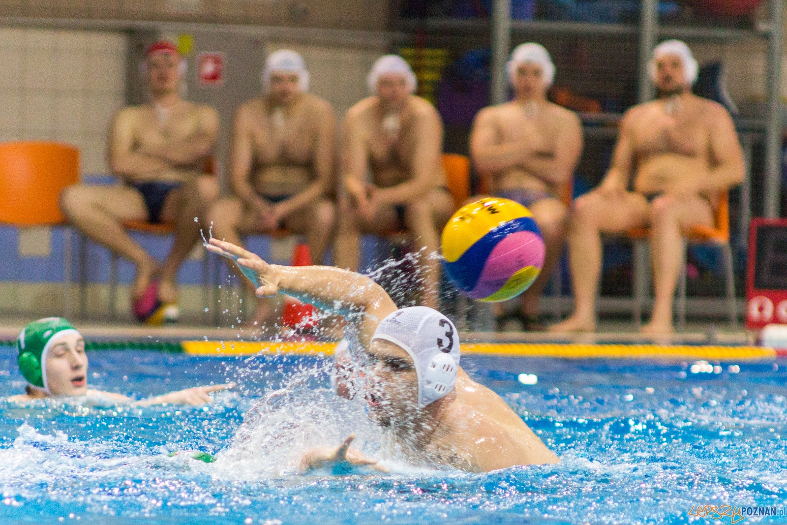KS Waterpolo Poznań - Legia Warszawa Foto: lepszyPOZNAN.pl / Ewelina Jaśkowiak KS Waterpolo Poznań - Legia Warszawa Foto: lepszyPOZNAN.pl / Ewelina Jaśkowiak