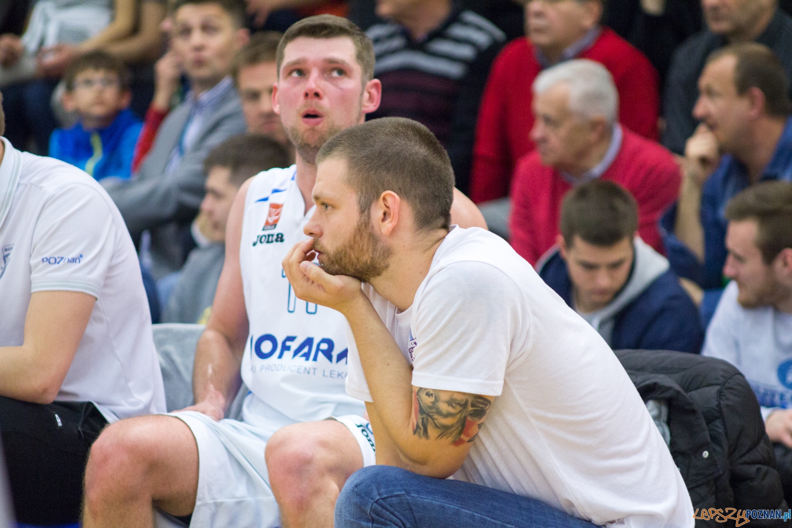 Bofarm Basket Poznań - Legia Warszawa Foto: lepszyPOZNAN.pl / Ewelina Jaśkowiak Bofarm Basket Poznań - Legia Warszawa Foto: lepszyPOZNAN.pl / Ewelina Jaśkowiak