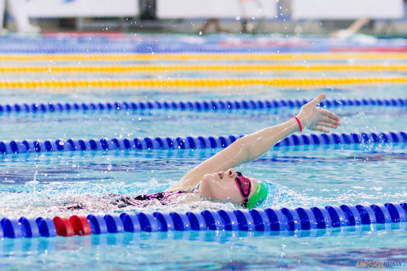 International Swimming Cup POZnań 2017 Foto: Ewelina Jaśkowiak International Swimming Cup POZnań 2017 Foto: Ewelina Jaśkowiak
